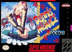 1-Up Retro Video Games - Dennis the Menace - Super Nintendo