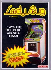 Lady Bug - Colecovision